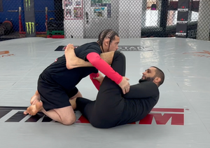 Advanced Basics Vol. 29 | Half Guard Bottom Made Easy