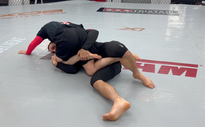 Advanced Basics Vol. 29 | Half Guard Bottom Made Easy