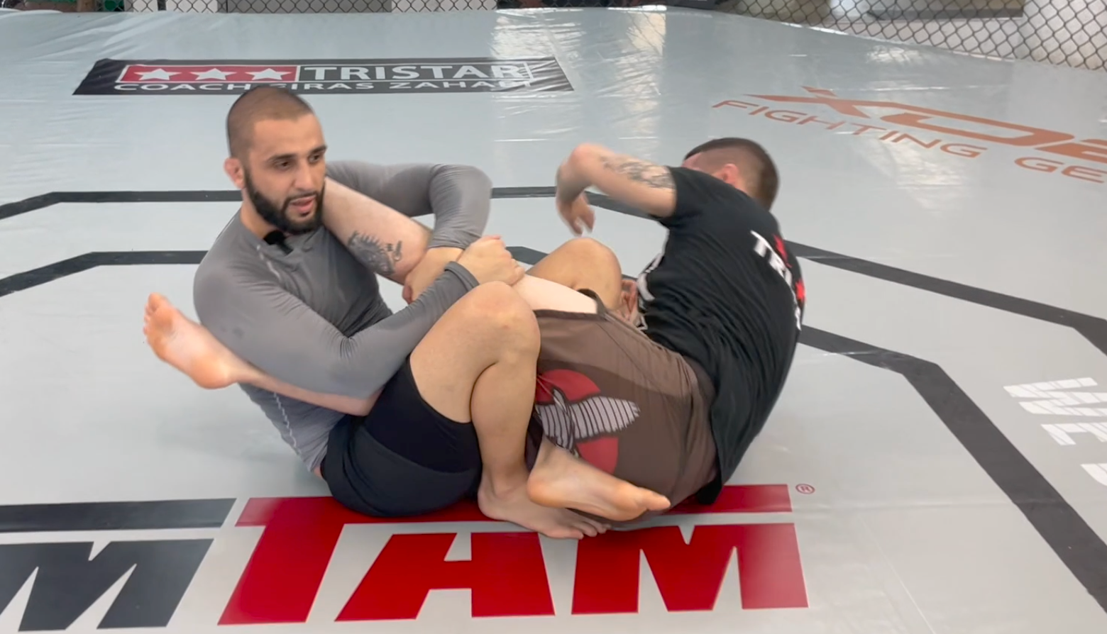 3 Double Leg drills: BJJ Basics 